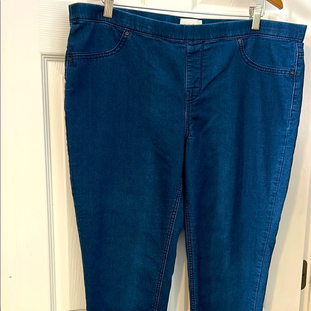 Women's Blue Jeans/Jeggings
